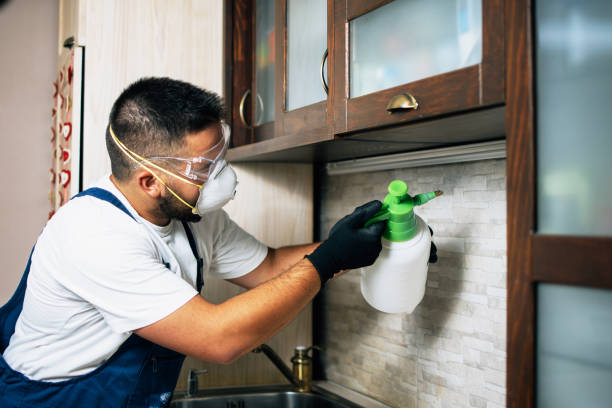 Best Best Pest Control Near Me  in Anderson, CA