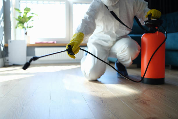 Trusted Anderson, CA Pest Control Experts