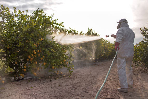Best Pest Prevention Services  in Anderson, CA