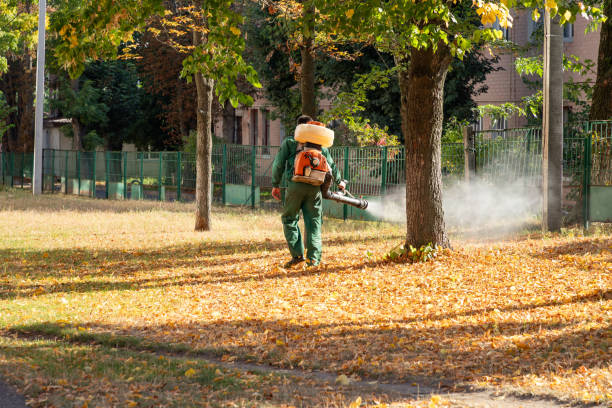 Best Pest Control Near Me in Anderson, CA